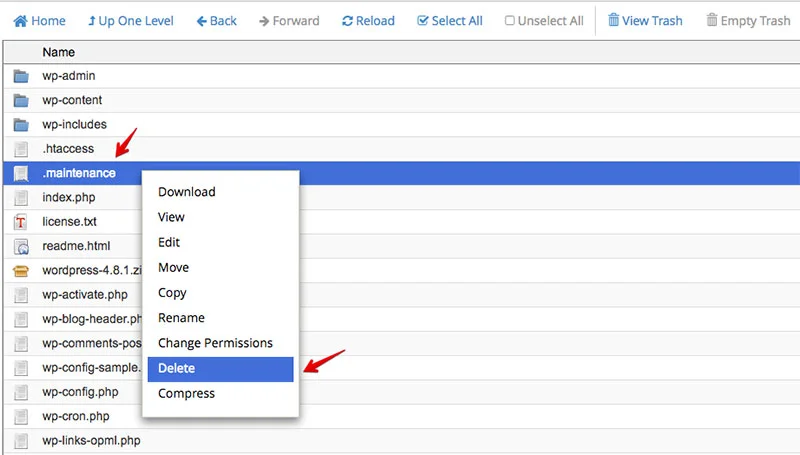 How to Manually Update WordPress?, Remove the .maintenance File