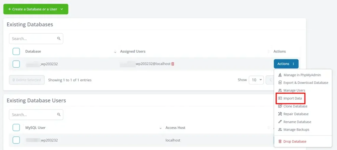 Website Migration Without Downtime: Full Checklist Website Migration Without Downtime: Full Checklist, 1. Through the SPanel interface 2