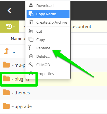 Fix 403 Forbidden Error Website Guide, Disable WordPress Plugins 2