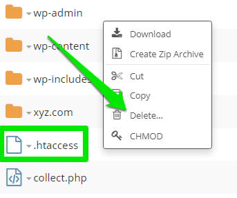 Fix 403 Forbidden Error Website Guide, Step 3: Delete the .htaccess File 2