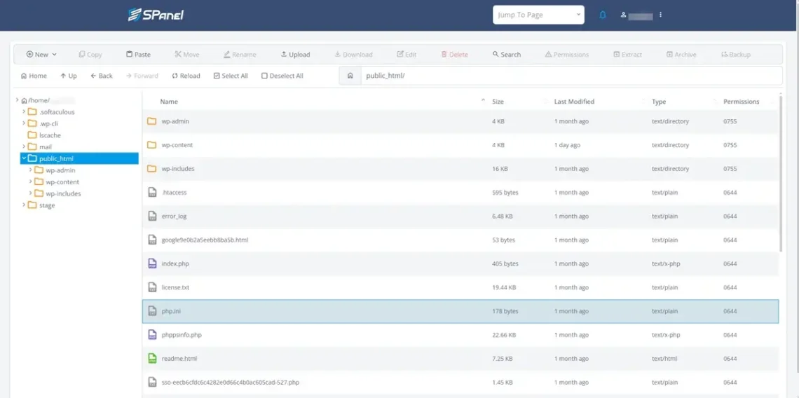 Website Migration Without Downtime: Full Checklist Website Migration Without Downtime: Full Checklist, 2. Via the File Manager