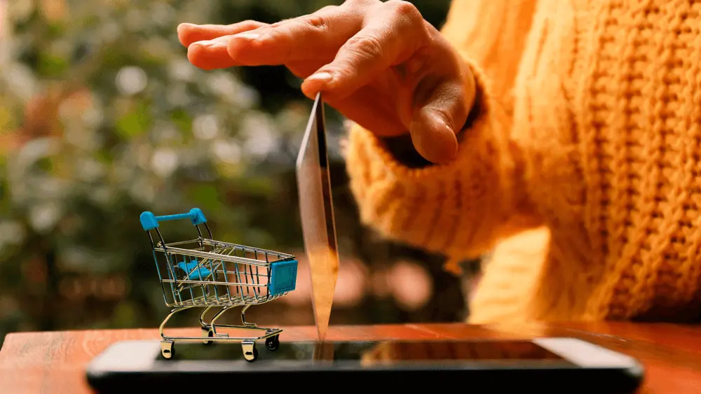 Smooth WooCommerce Launch: How to Avoid Common Mistakes Smooth WooCommerce Launch: How to Avoid Common Mistakes, Address Declined Transactions