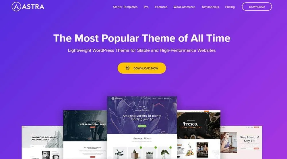 Best WooCommerce Themes for Digital Products Best WooCommerce Themes for Digital Products, Astra
