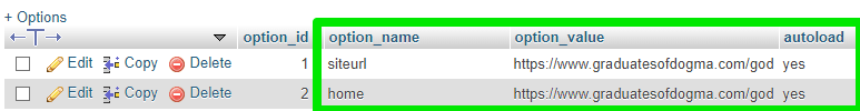 Why does my redirection show an error?, Step 3: Open Your Database WP_Options Table 2