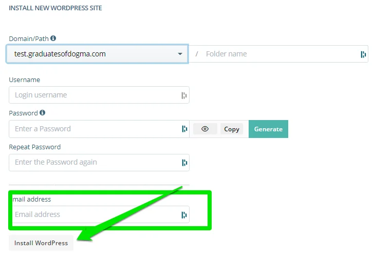 What Is Subdomain & How to Create One, Via WordPress Manager 4