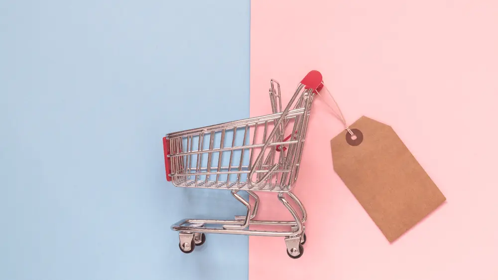 The Ultimate Showdown: WooCommerce vs. BigCommerce The Ultimate Showdown: WooCommerce vs. BigCommerce, Pricing and Plans